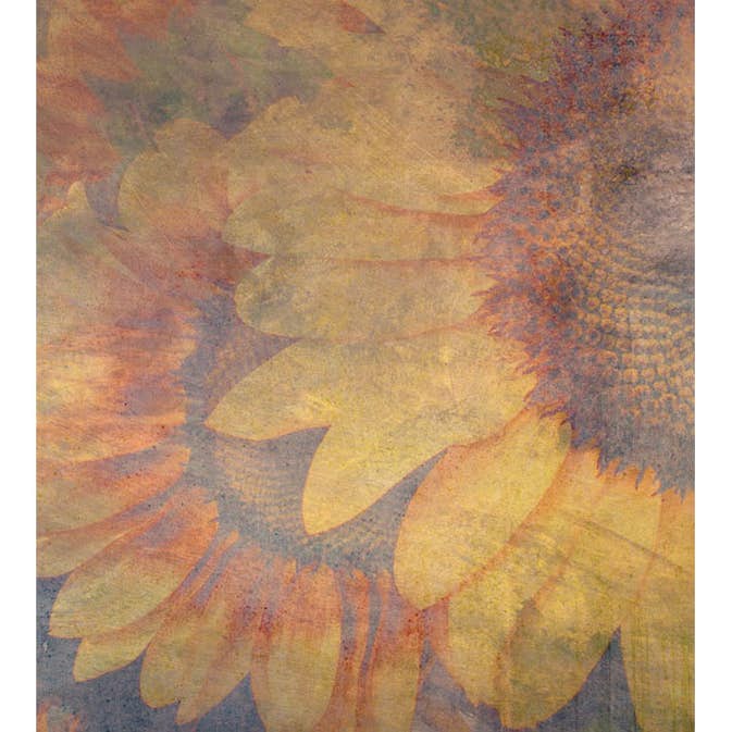 Fototapet Dimex Sunflower Abstract