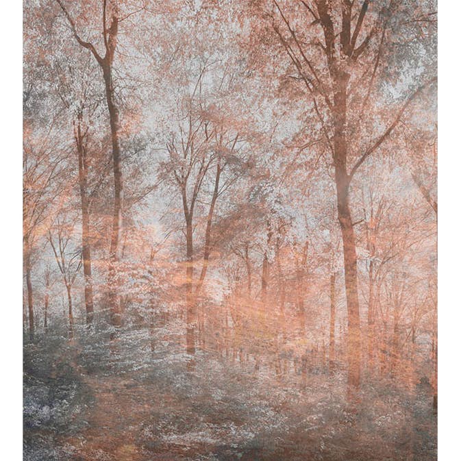 Fototapet Dimex Colorful Forest Abstract