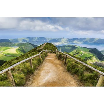 Tapet Dimex Walking Path