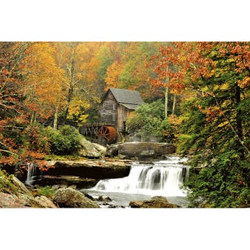 Tapet Dimex Grist Mill