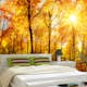 Tapet Dimex Suny Forest