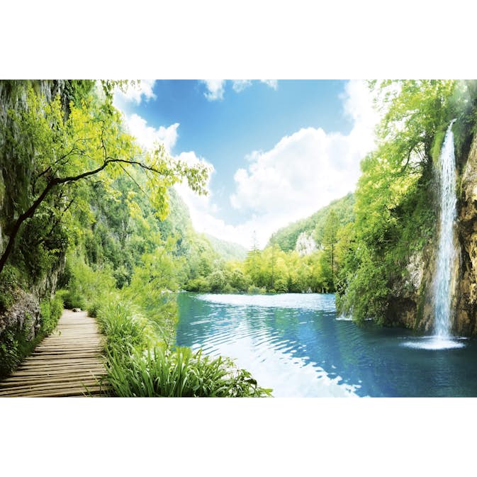 Tapet Dimex Relax in Forest