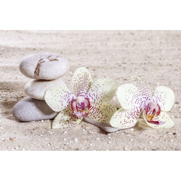 Tapet Dimex Zen Balance