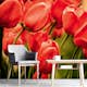 Tapet Dimex Red Tulips