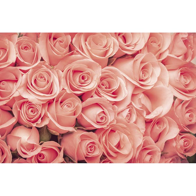 Tapet Dimex Roses