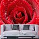 Tapet Dimex Red Rose