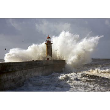 Tapet Dimex Lighthouse