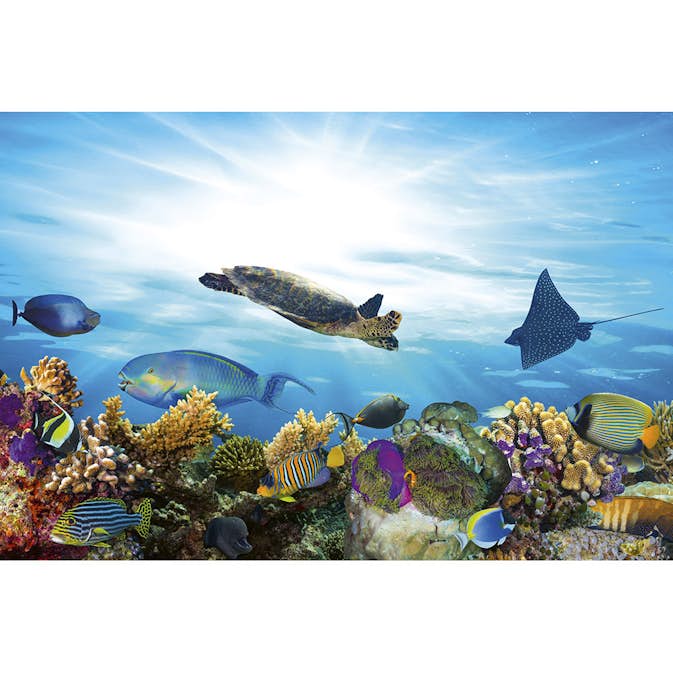 Tapet Dimex Fish