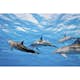 Tapet Dimex Dolphins