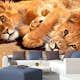 Tapet Dimex Young Lions