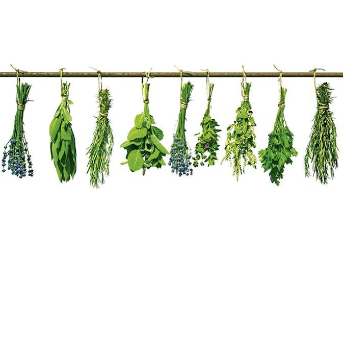 Tapet Dimex Herbs