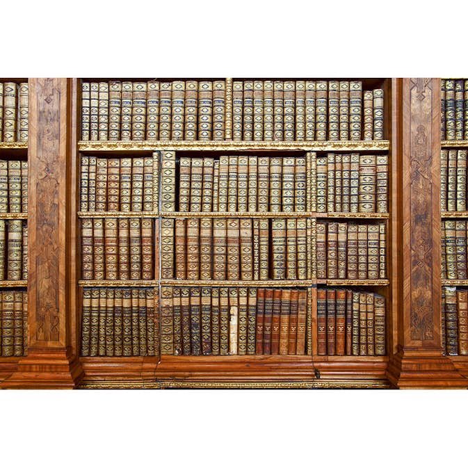 Tapet Dimex Library
