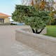 Mursten S:t Eriks Rubin