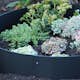 Planteringskant Flexigarden Svart 180 mm Cirkel