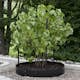 Planteringskant Flexigarden Svart 180 mm Cirkel