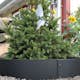 Planteringskant Flexigarden Svart Övergång 120-180 mm 500 mm