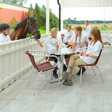 Platta S:t Eriks Klassik Naturgrå Helpall