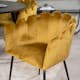 Matgrupp furniture/fashion Disa med 4 Limhamn Stolar