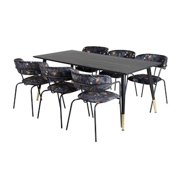 Matgrupp Venture Home Disa med 6 Aris Stolar Polyestertyg