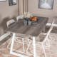 Matgrupp Venture Home Ina med 4 Cornelia Stolar