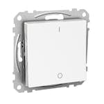 Strömbrytare Schneider Electric Exxact 2-pol Infälld