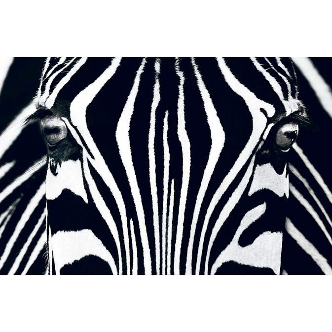 Tapet Idealdecor Giant Art Black & White I