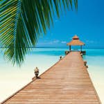 Tapet Idealdecor Paradise Beach 284