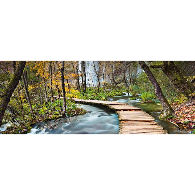Tapet Idealdecor Path into the Forest