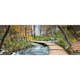 Tapet Idealdecor Path into the Forest