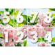 Tapet Idealdecor Sakura Blossom