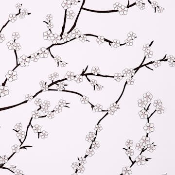 Tapet Mimou Kyoto Rose