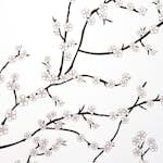 Tapet Mimou Kyoto White