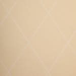 Tapet Paintpart Lantligt & Modernt 4931-1