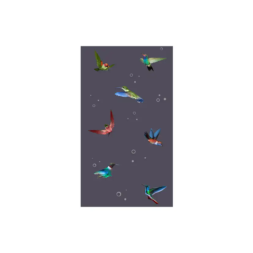 Fototapet Arkiio Flight of hummingbirds 50x1000 cm