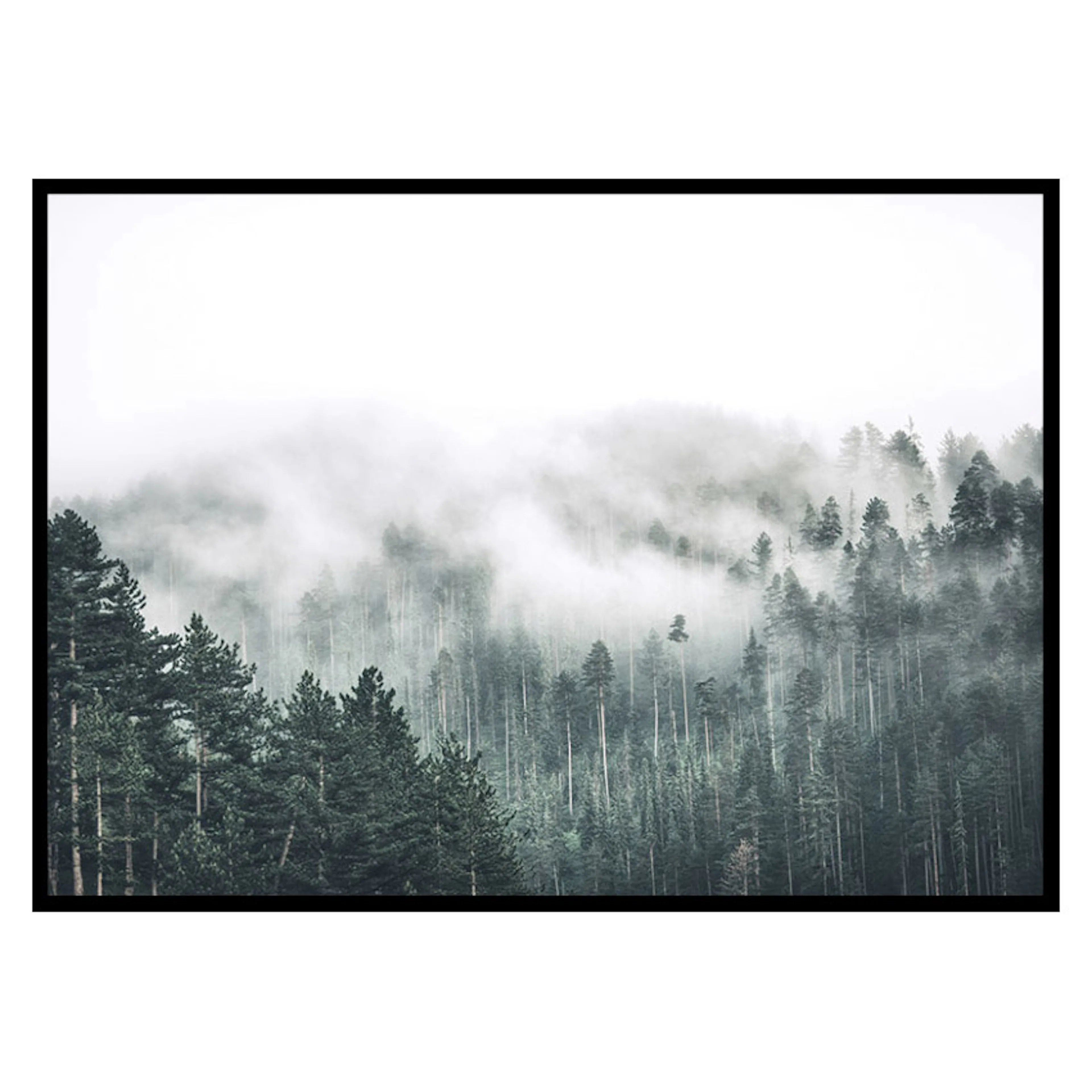 Poster Gallerix Forest Valley