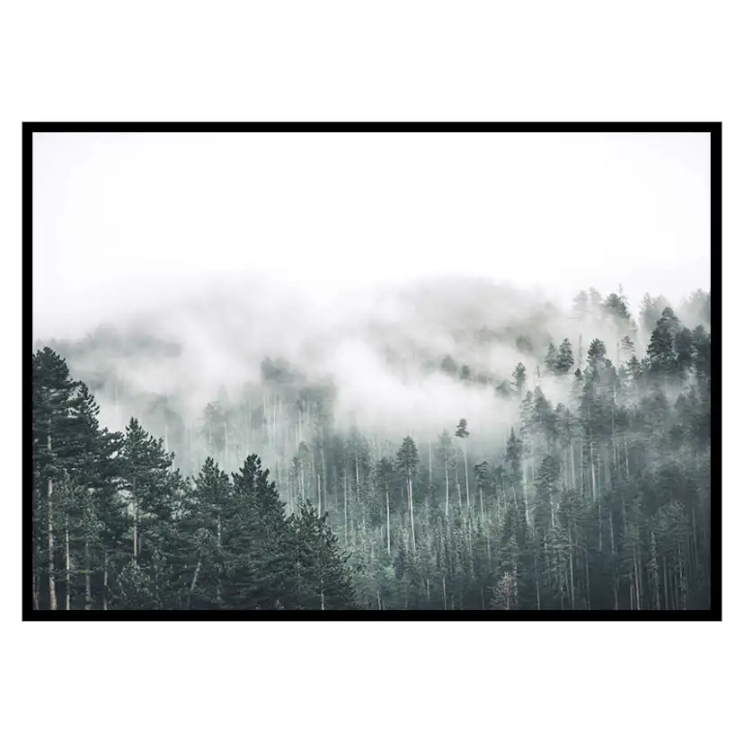 Poster Gallerix Forest Valley