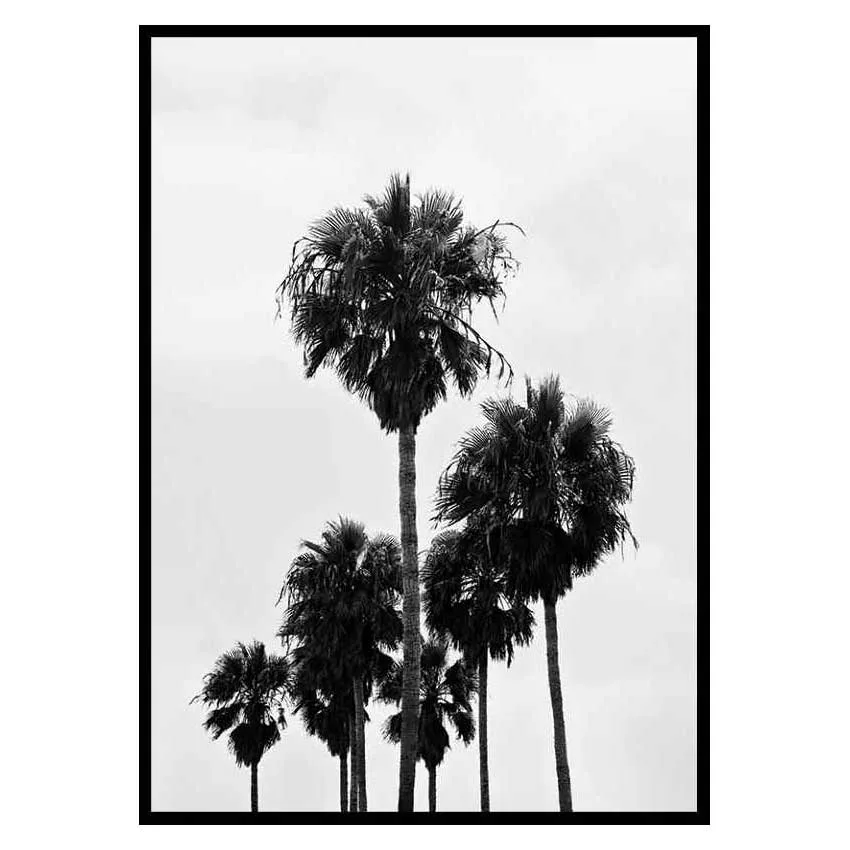Poster Gallerix L.A Palm Trees