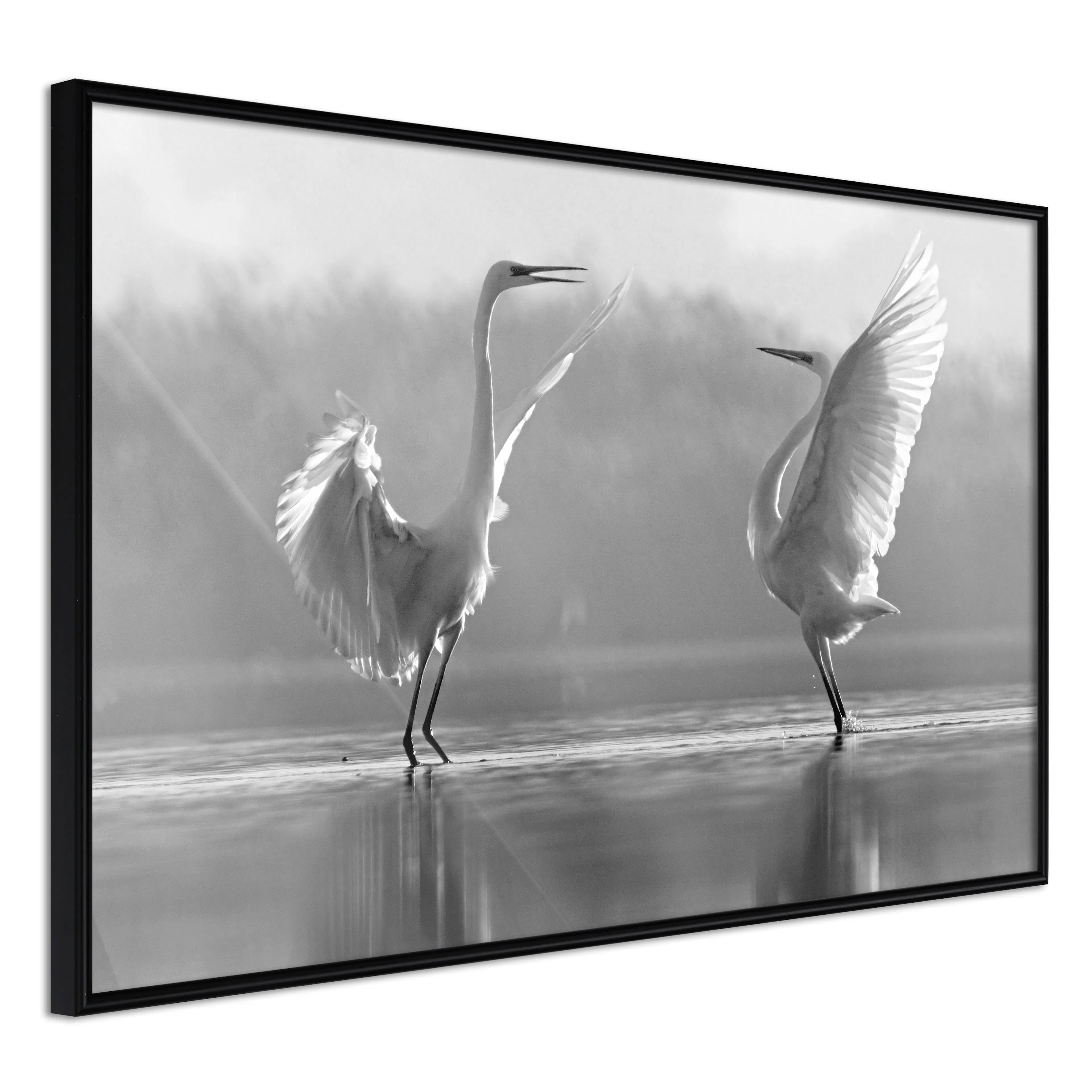 Affisch - Heron Love [Poster] 60x40 Svart ram, 60x40 cm
