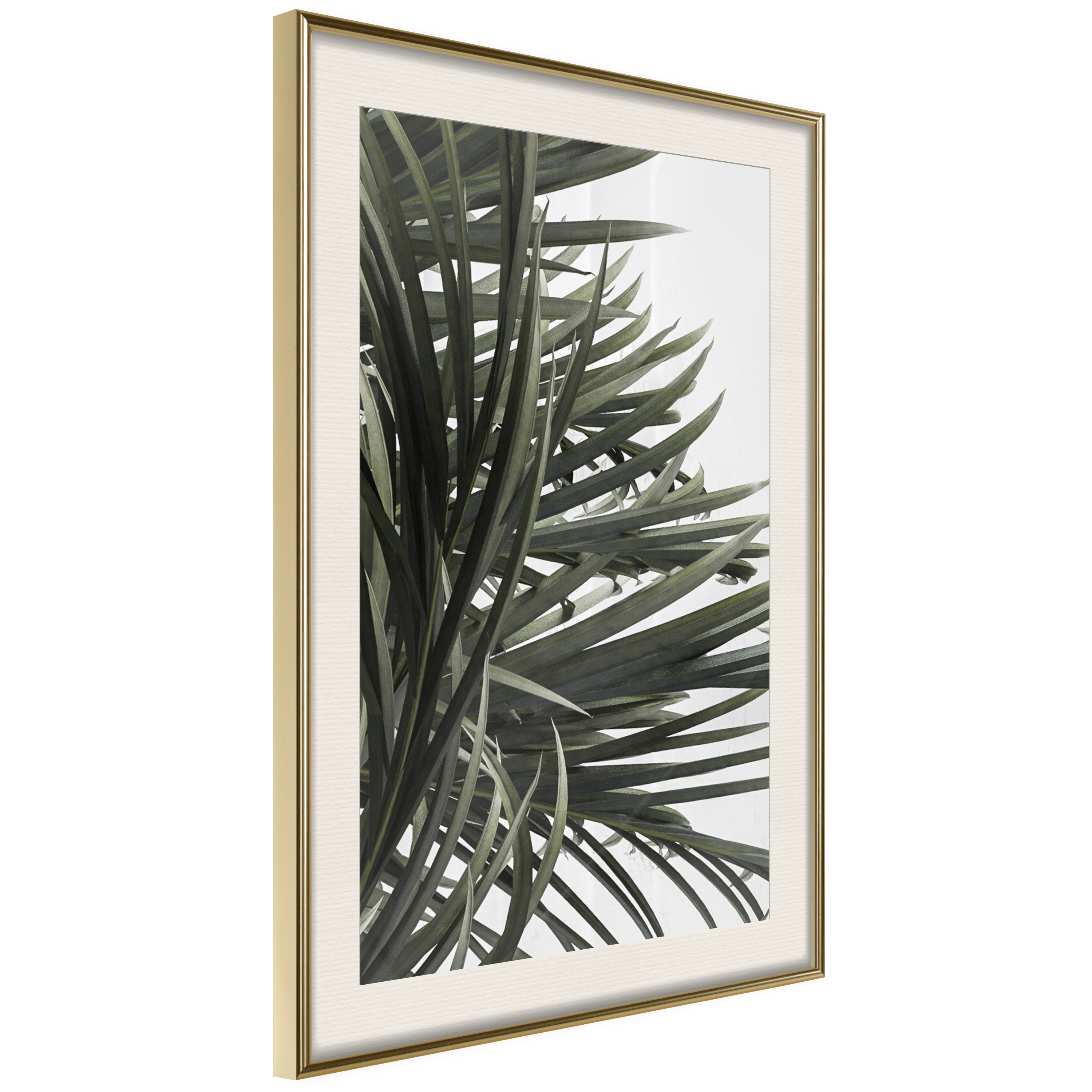 Affisch - In the Shade of Palm Trees [Poster] 40x60 Guld ram med passepartout, 40x60 cm
