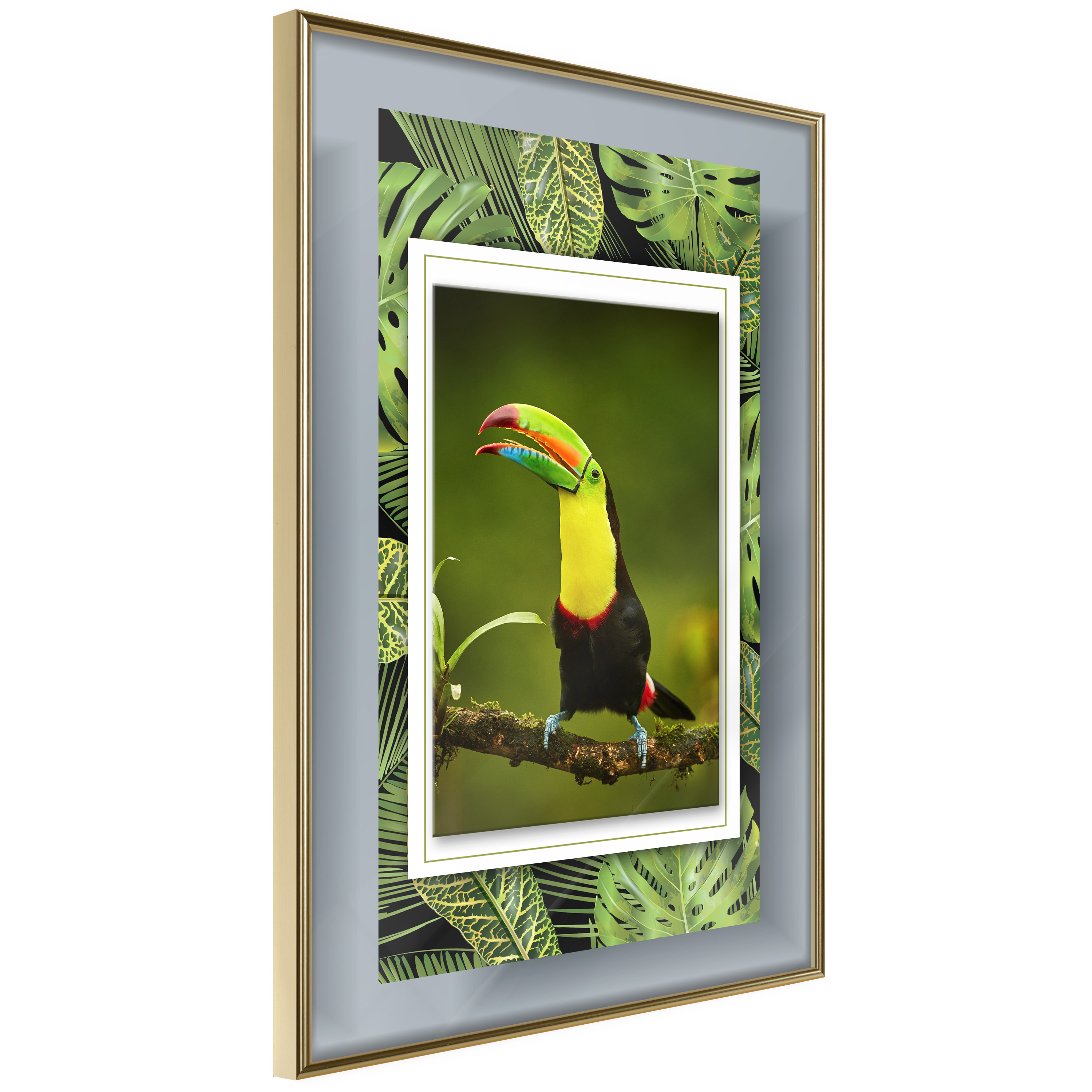 Affisch - Toucan [Poster] 20x30 Guld ram, 20x30 cm