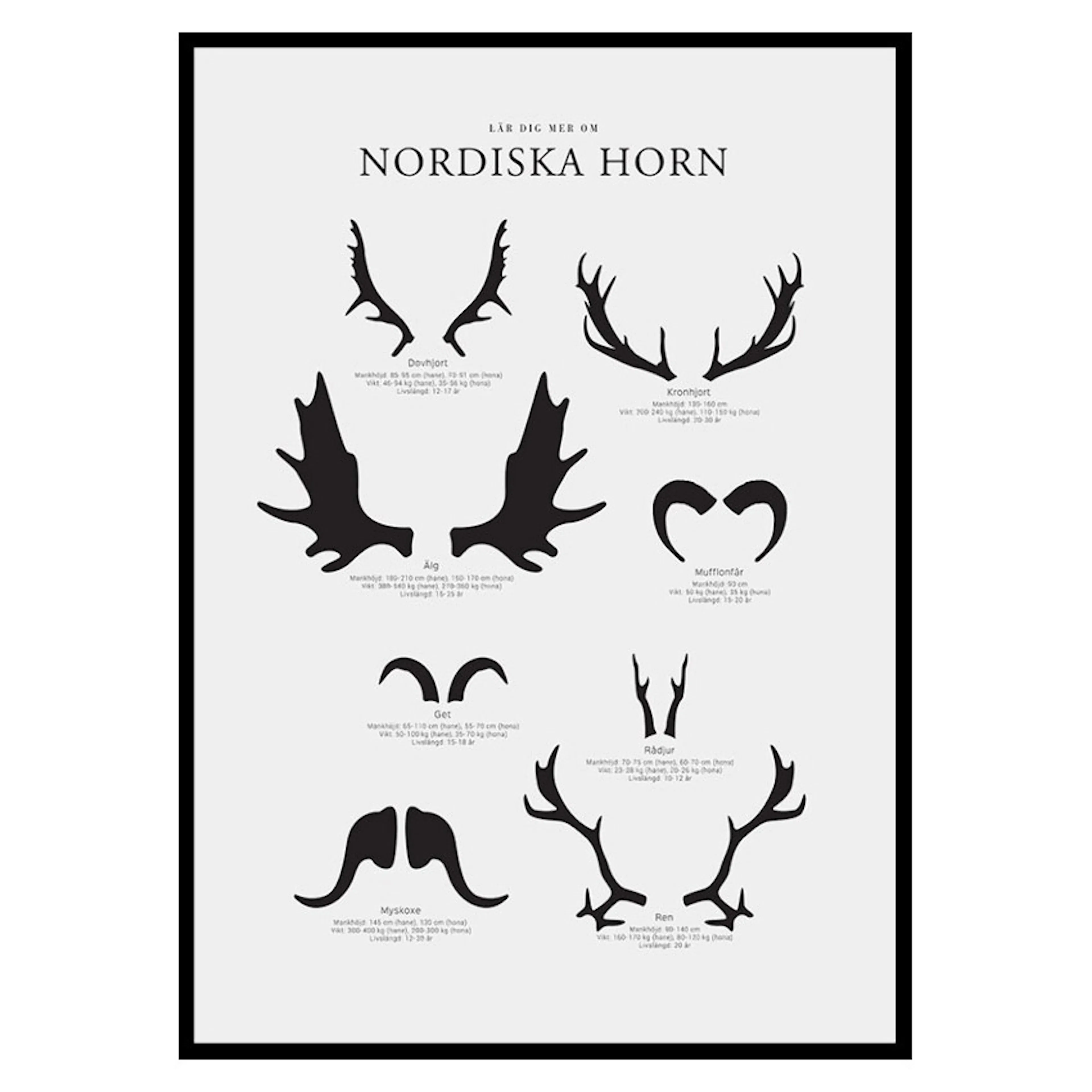 Poster Gallerix Nordiska Horn