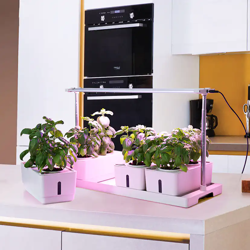 Hydroponisk Odling RobotGarden Odlingslådor Med Växtlampa & Startkit för Hemmaodling