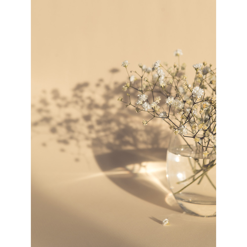 Posters Venture Home White Flowers Beige