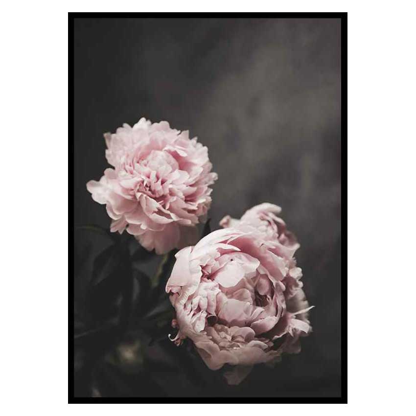 Poster Gallerix Pink peonies No2