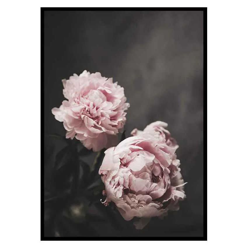 Poster Gallerix Pink peonies No2