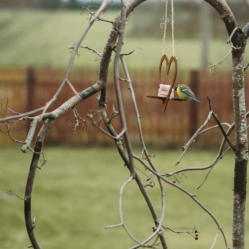 Fågelmatare GrillSymbol Petteri Wiimaa Heart