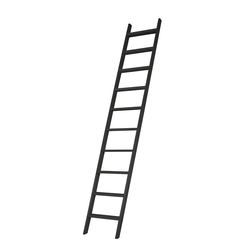 10-steg