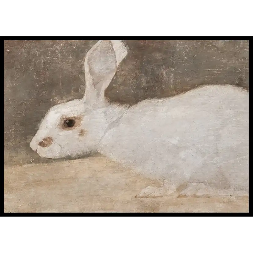 Poster Gallerix Witte Konijn By Jan Mankes