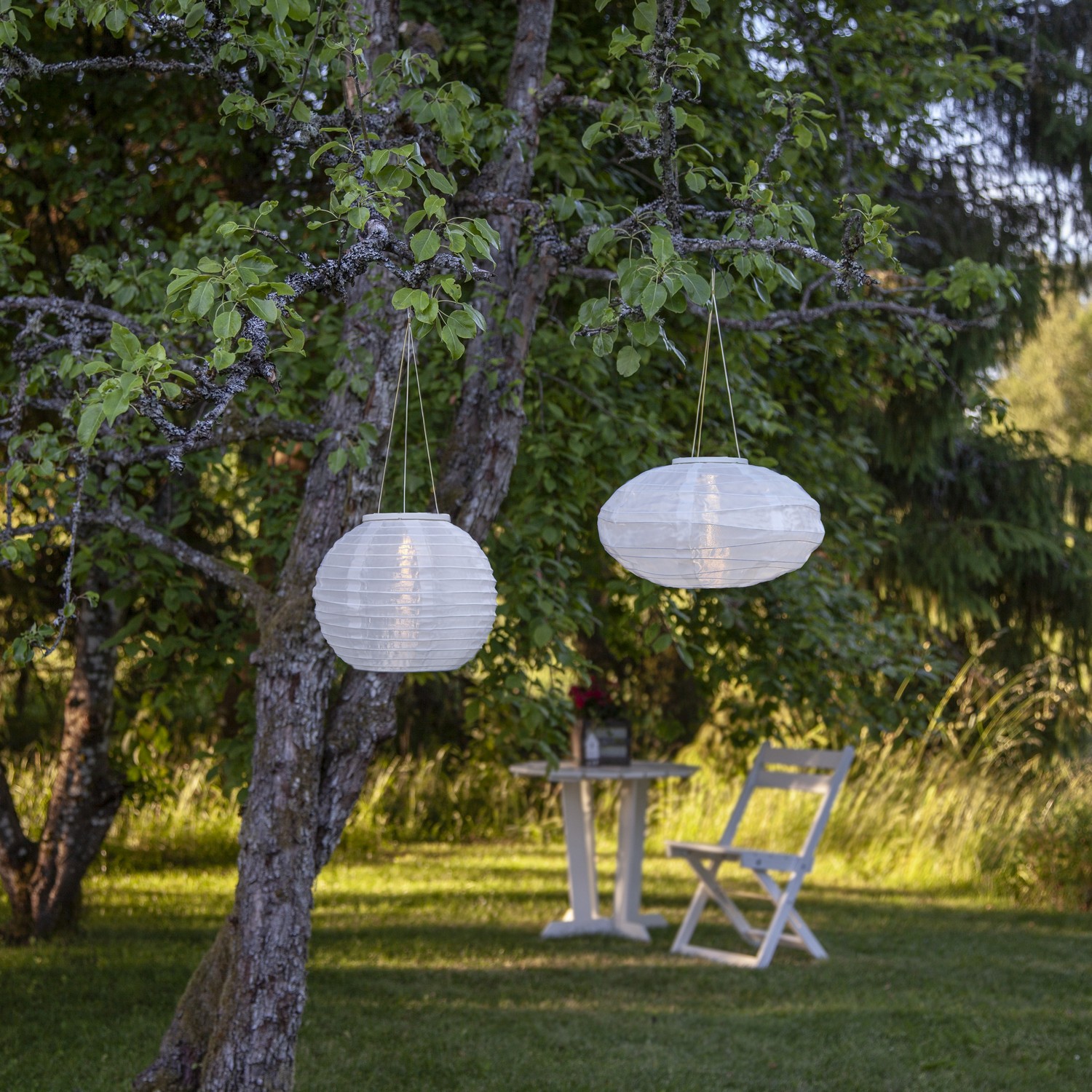 Solcellsdekoration Star Trading Festival 25  cm Vit