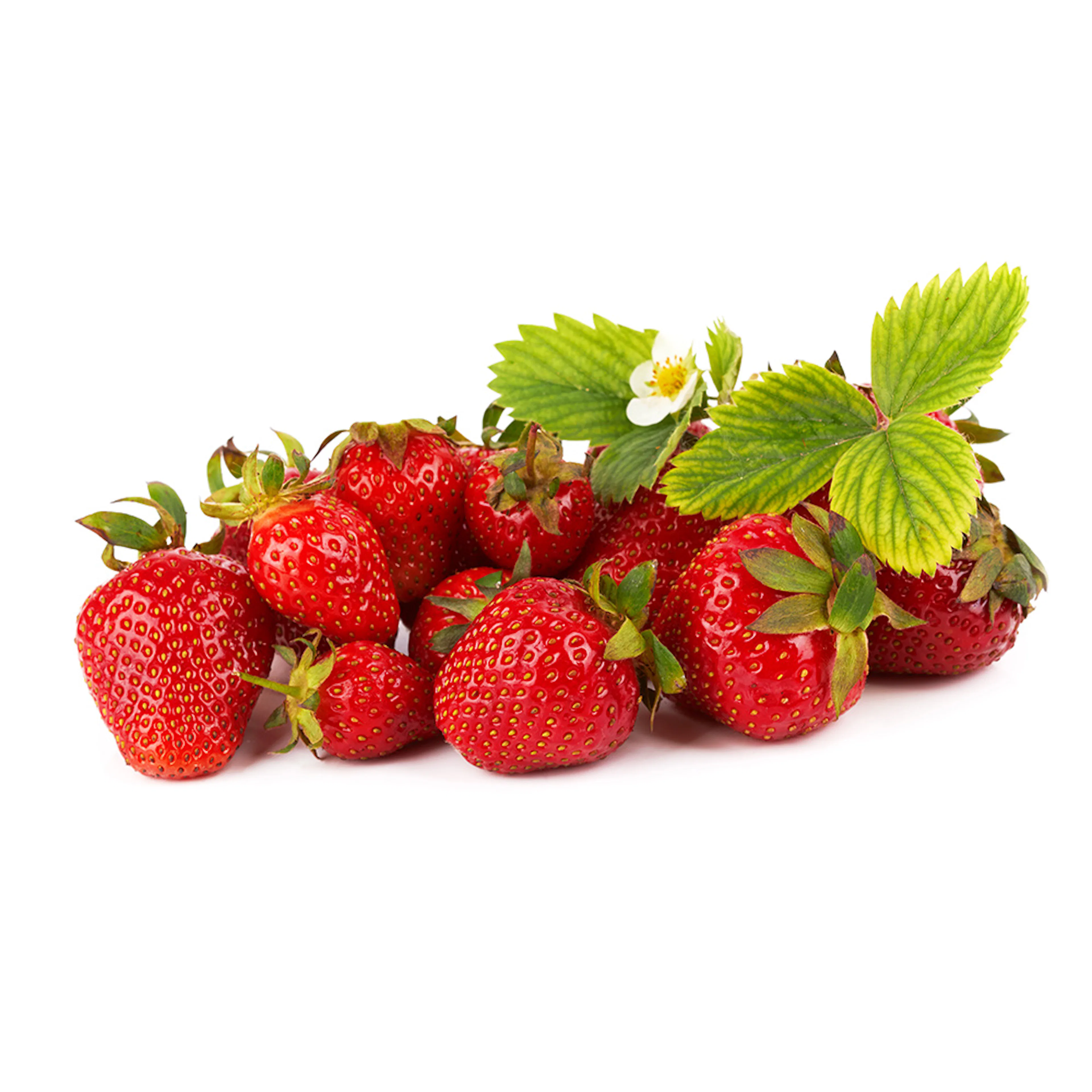 Jordgubbe Omnia Garden Fragaria Ananassa Malwina